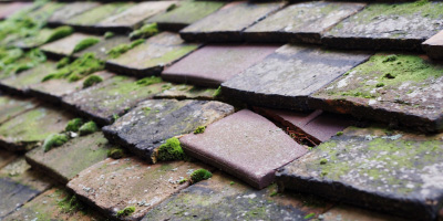 Longstowe roof repair costs